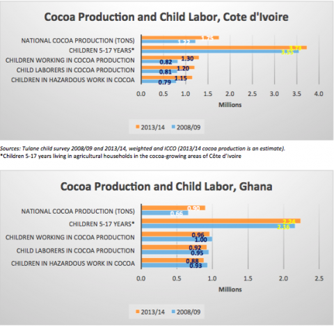 Tulane University findings on cocoa production
